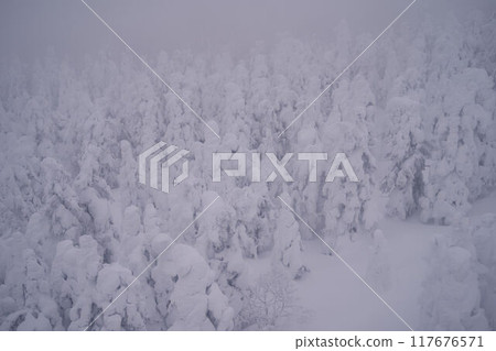 山形縣：從藏王索道看到的藏王的霜樹 117676571