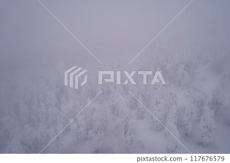 山形縣：從藏王索道看到的藏王的霜樹 117676579