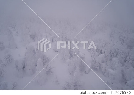 山形縣：從藏王索道看到的藏王的霜樹 117676580