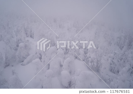 山形縣：從藏王索道看到的藏王的霜樹 117676581