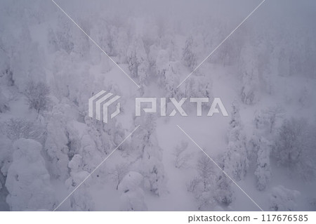 山形縣：從藏王索道看到的藏王的霜樹 117676585