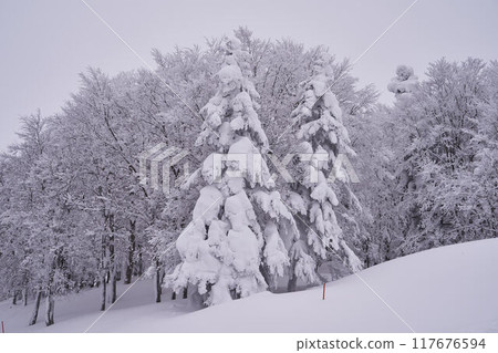 山形縣藏王的冬天 山形縣藏王的冬天 117676594