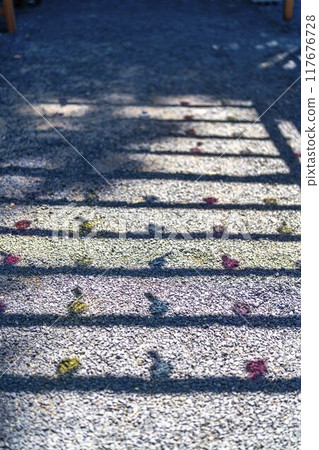 夏天的熊野神社（熊野大社），風鈴裝飾「奏」的影子，山形縣南陽市 117676728