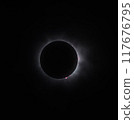 April 8, 2024 Total Solar Eclipse, Corona and Prominences② 117676795