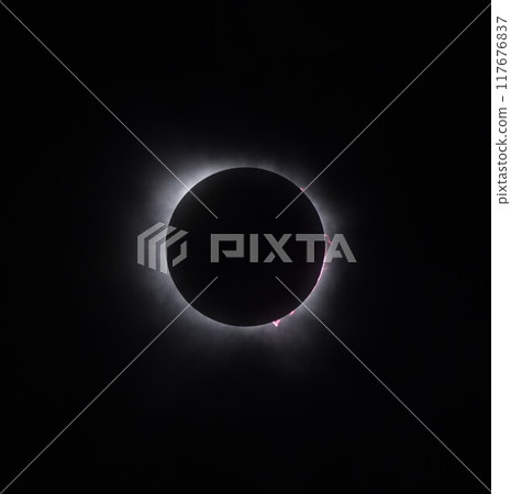 April 8, 2024 Total Solar Eclipse, Corona and Prominences③ 117676837
