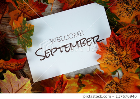 Welcome September text with maple leaf decoration top view on wooden background 117676940