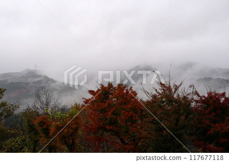 The autumn leaves of the mountains are shrouded in clouds The autumn leaves of the mountains are shrouded in clouds 117677118