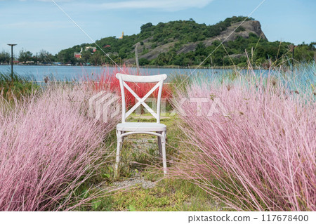 White chair with colorful pink and red grass of cafe garden 117678400