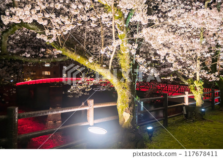 Red bridge light up with cherry blossom from Ureshino Onsen park Red bridge light up with cherry blossom from Ureshino Onsen park 117678411