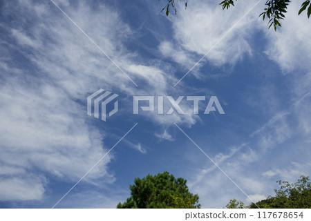 A white cloud in the shape of a dragon spreading across the blue summer sky 117678654