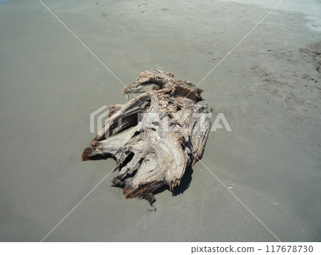 它從哪裡來 117678730