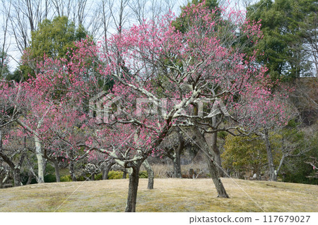 我去了福島機場公園#99 我去了福島機場公園#99 117679027