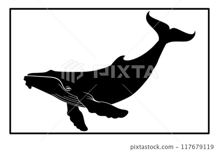 Whale Silhouette, Ocean Majesty Whale Silhouette 117679119