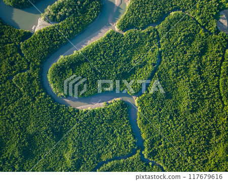 Green background of Aerial view drone shot Forest trees nature environment background Green background of Aerial view drone shot Forest trees nature environment background 117679616