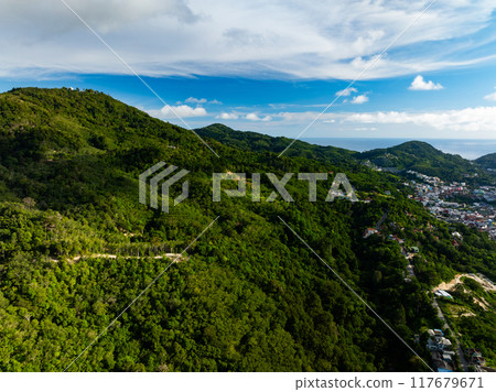 Aerial view drone shot of Mountains Forest trees nature environment background 117679671