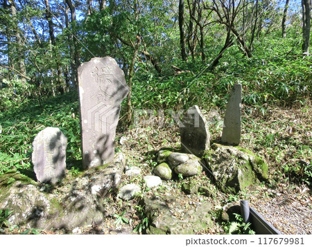 春名富士山(群馬縣高崎市)供奉的四位神 春名富士山(群馬縣高崎市)供奉的四位神 117679981