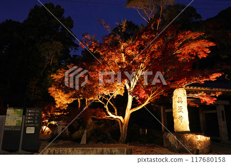 興勝寺正門的紅葉彩燈 117680158