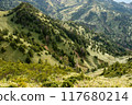 平緩的山面，美麗的綠色 117680214