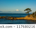 蔚藍的大海和白雪皚皚的富士山 117680216