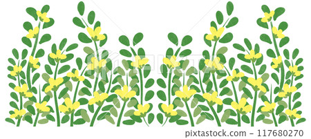 yellow flowers border 117680270