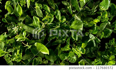 Falling herbs leaves, isolated on black background. Falling herbs leaves, isolated on black background. 117680372