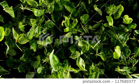 Falling herbs leaves, isolated on black background. 117680377