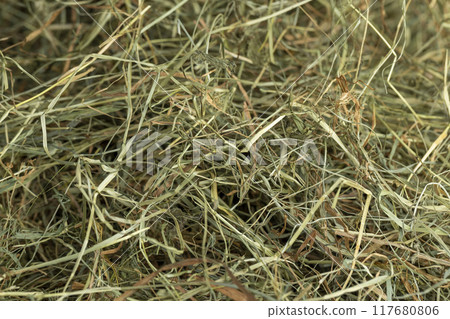 Dehydrated Dried Grass for hay production in agriculture Dehydrated Dried Grass for hay production in agriculture 117680806