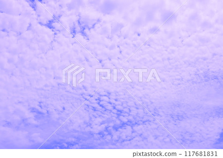 藍天上漂浮的鱗片雲(背景素材) 藍天上漂浮的鱗片雲(背景素材) 117681831