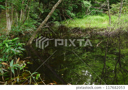 Kamikochi pond 117682053