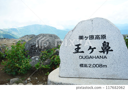 Migahara king nose Migahara king nose 117682062