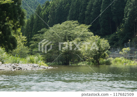 避暑勝地，兵庫縣紫蘇市，瀑布之旅，山間溪流 117682509