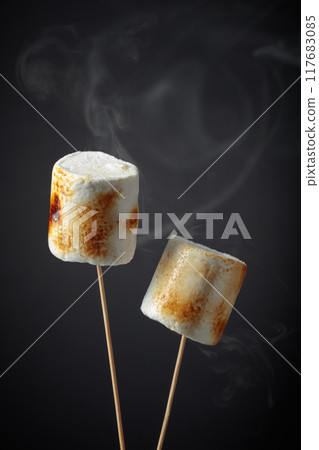 Toasted marshmallows with smoke. 117683085