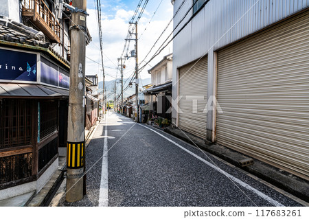 [Important Preservation District for Groups of Traditional Buildings] Streetscape at the eastern end of Terauchi-cho, Tondabayashi City, Osaka Prefecture 117683261
