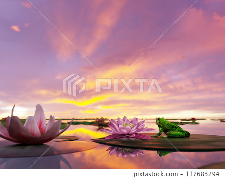 Dramatic fiery sunset reflecting in the pond surface with waterlily plants 117683294