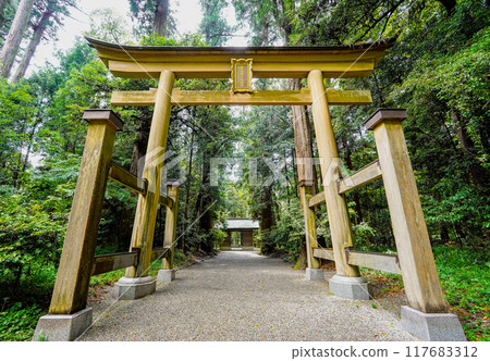 播磨國一宮市岩神社的參道(兵庫縣紫蘇市) 播磨國一宮市岩神社的參道(兵庫縣紫蘇市) 117683312
