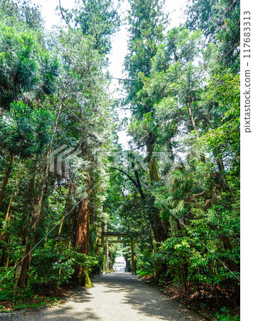 播磨國一宮市岩神社的參道（兵庫縣紫蘇市） 117683313