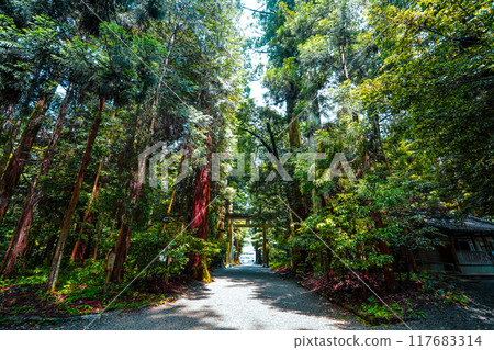 Approach to Iwa Shrine, Ichinomiya, Harima Province (Shiso City, Hyōgo Prefecture) Approach to Iwa Shrine, Ichinomiya, Harima Province (Shiso City, Hyōgo Prefecture) 117683314