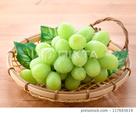 Large Shine Muscat Large Shine Muscat 117683619