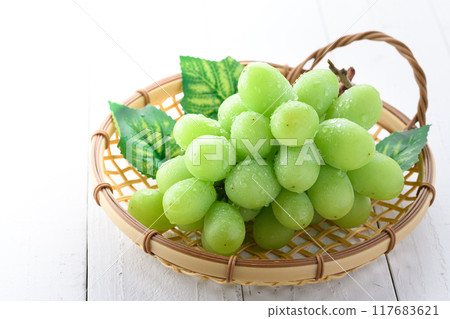 大閃耀馬斯喀特 117683621