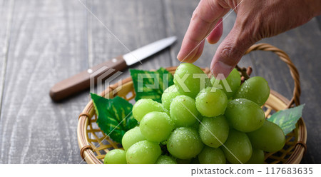 Large Shine Muscat 117683635