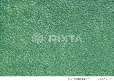 Velours green fabric with with embossed pattern like leather structure texture close up, macro 117683707