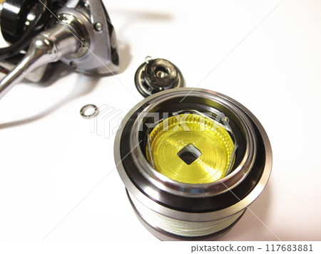 Disassembly and maintenance of spinning reels used for lure fishing 117683881