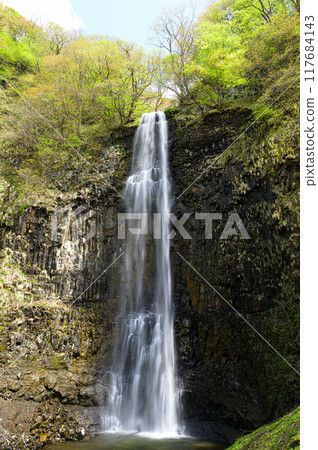 Tamadare Falls, Sakata City, Yamagata Prefecture Tamadare Falls, Sakata City, Yamagata Prefecture 117684143