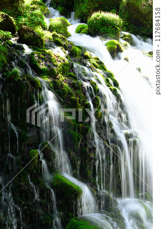 Mototaki Underground Water, Nikaho City, Yamagata Prefecture Mototaki Underground Water, Nikaho City, Yamagata Prefecture 117684158