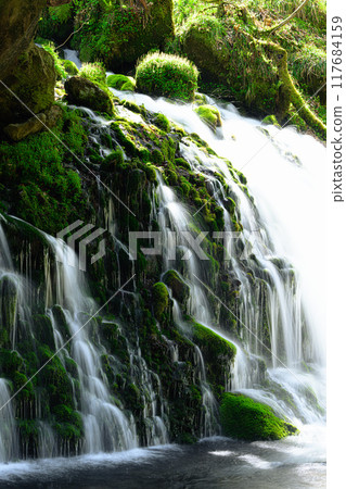 Mototaki Underground Water, Nikaho City, Yamagata Prefecture Mototaki Underground Water, Nikaho City, Yamagata Prefecture 117684159