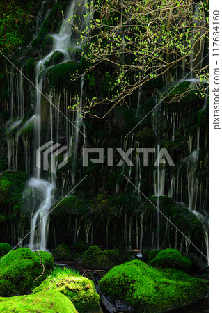 Mototaki Underground Water, Nikaho City, Yamagata Prefecture 117684160