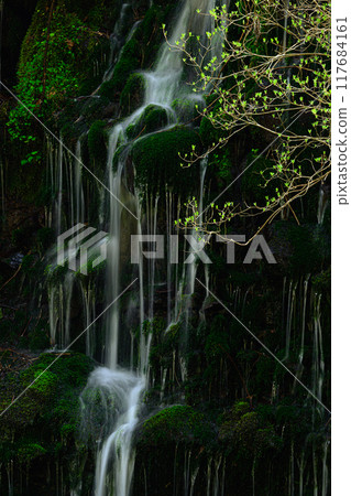 Mototaki Underground Water, Nikaho City, Yamagata Prefecture Mototaki Underground Water, Nikaho City, Yamagata Prefecture 117684161