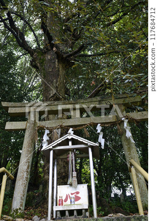 Kama Hachiman Shrine in Katsuragi Town, Wakayama Prefecture Kama Hachiman Shrine in Katsuragi Town, Wakayama Prefecture 117684712