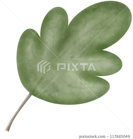 a green leaf illustration so cute 117685049