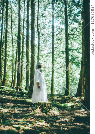 Back view of a woman in a white dress standing in the forest Back view of a woman in a white dress standing in the forest 117685054